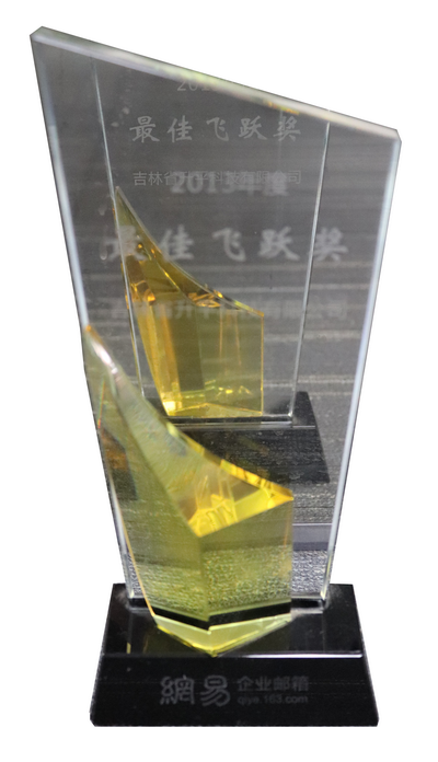 2013年网易最佳飞跃奖